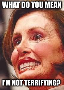 Ugly pelosi | WHAT DO YOU MEAN I’M NOT TERRIFYING? | image tagged in ugly pelosi | made w/ Imgflip meme maker