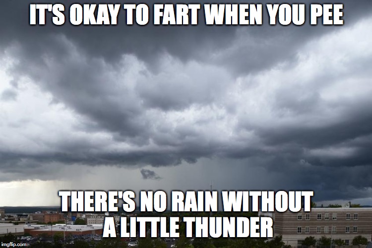 IT'S OKAY TO FART WHEN YOU PEE; THERE'S NO RAIN WITHOUT A LITTLE THUNDER | image tagged in lol,thunder | made w/ Imgflip meme maker