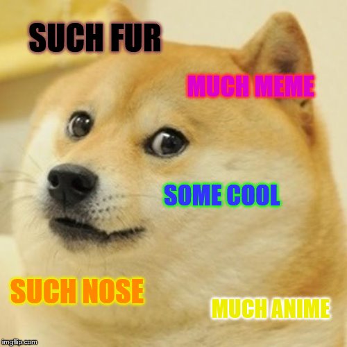 Doge Meme | SUCH FUR; MUCH MEME; SOME COOL; SUCH NOSE; MUCH ANIME | image tagged in memes,doge | made w/ Imgflip meme maker