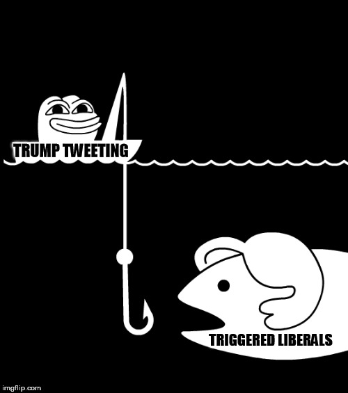 TRUMP TWEETING TRIGGERED LIBERALS | made w/ Imgflip meme maker