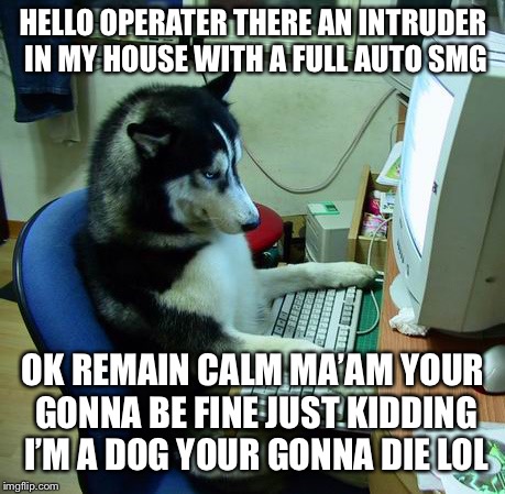 I Have No Idea What I Am Doing Meme | HELLO OPERATER THERE AN INTRUDER IN MY HOUSE WITH A FULL AUTO SMG; OK REMAIN CALM MA’AM YOUR GONNA BE FINE
JUST KIDDING I’M A DOG YOUR GONNA DIE LOL | image tagged in memes,i have no idea what i am doing | made w/ Imgflip meme maker