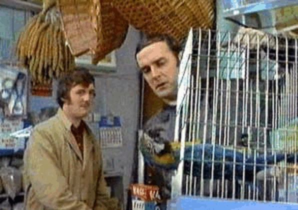 Monty Python dead parrot Blank Meme Template
