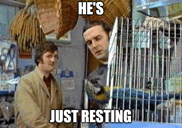 Monty Python dead parrot | HE'S JUST RESTING | image tagged in monty python dead parrot | made w/ Imgflip meme maker