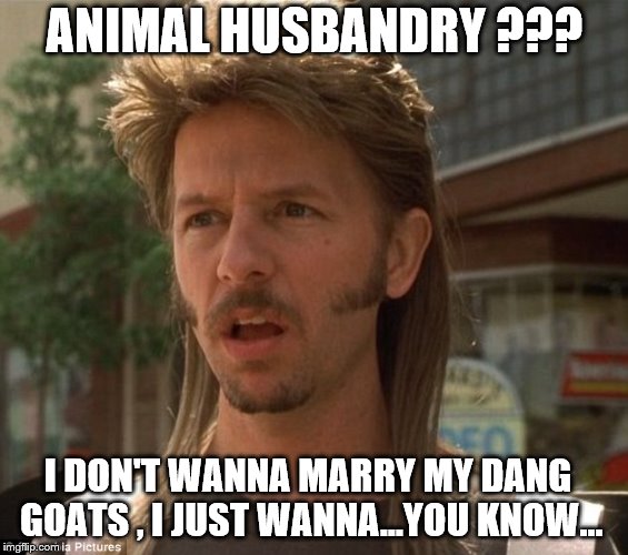 ANIMAL HUSBANDRY ??? I DON'T WANNA MARRY MY DANG GOATS , I JUST WANNA...YOU KNOW... | made w/ Imgflip meme maker