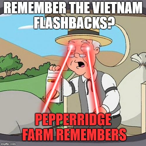 REMEMBER THE VIETNAM FLASHBACKS? PEPPERRIDGE FARM REMEMBERS | image tagged in flashback,pepperidge farm remembers | made w/ Imgflip meme maker