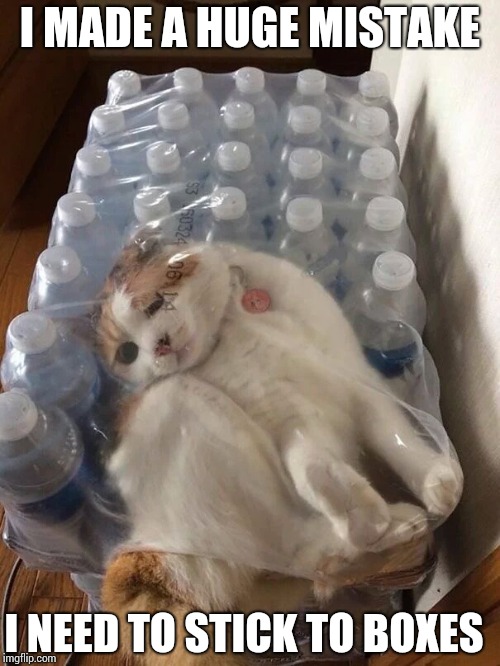 Curious cat | I MADE A HUGE MISTAKE; I NEED TO STICK TO BOXES | image tagged in cat,stuck,curiosity,pipe_picasso,water bottle | made w/ Imgflip meme maker
