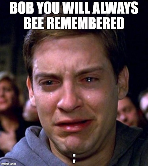 crying peter parker | BOB YOU WILL ALWAYS BEE REMEMBERED; ; | image tagged in crying peter parker | made w/ Imgflip meme maker