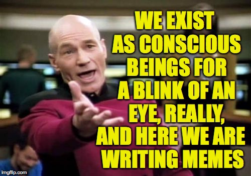 Because it's fun! | WE EXIST AS CONSCIOUS BEINGS FOR A BLINK OF AN EYE, REALLY, AND HERE WE ARE WRITING MEMES | image tagged in memes,picard wtf,great mystery of life | made w/ Imgflip meme maker