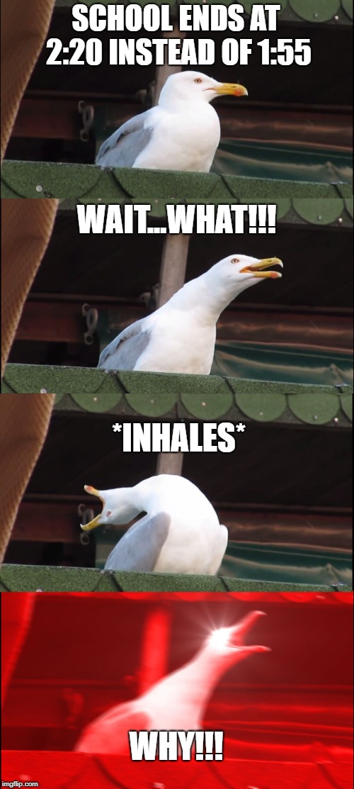 Inhaling Seagull Meme | SCHOOL ENDS AT 2:20 INSTEAD OF 1:55; WAIT...WHAT!!! *INHALES*; WHY!!! | image tagged in memes,inhaling seagull | made w/ Imgflip meme maker