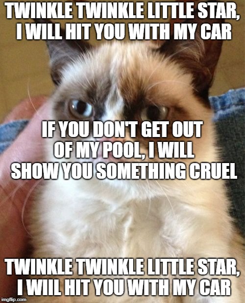 Grumpy Cat Meme | TWINKLE TWINKLE LITTLE STAR, I WILL HIT YOU WITH MY CAR TWINKLE TWINKLE LITTLE STAR, I WIIL HIT YOU WITH MY CAR IF YOU DON'T GET OUT OF MY P | image tagged in memes,grumpy cat | made w/ Imgflip meme maker