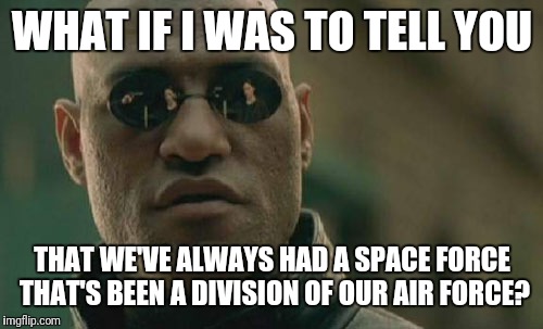 Matrix Morpheus Meme | WHAT IF I WAS TO TELL YOU THAT WE'VE ALWAYS HAD A SPACE FORCE THAT'S BEEN A DIVISION OF OUR AIR FORCE? | image tagged in memes,matrix morpheus | made w/ Imgflip meme maker