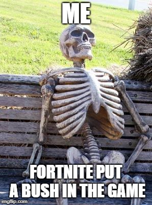 Waiting Skeleton Meme | ME; FORTNITE PUT A BUSH IN THE GAME | image tagged in memes,waiting skeleton | made w/ Imgflip meme maker