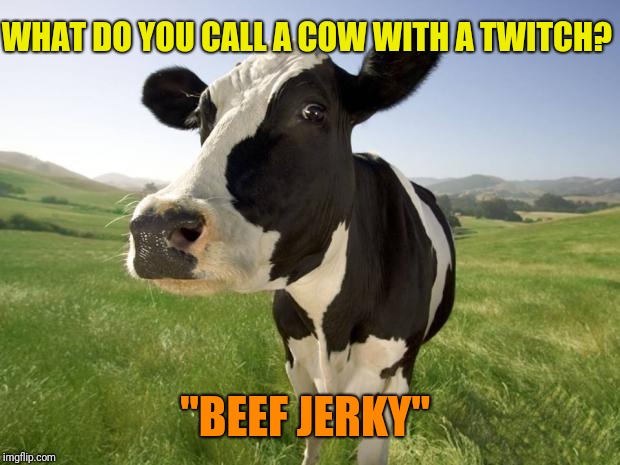 cow | WHAT DO YOU CALL A COW WITH A TWITCH? "BEEF JERKY" | image tagged in cow,memes,cow jokes | made w/ Imgflip meme maker