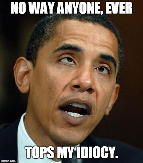 partisanship | NO WAY ANYONE, EVER TOPS MY IDIOCY. | image tagged in partisanship | made w/ Imgflip meme maker