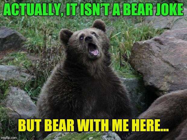 Sarcastic Bear | ACTUALLY, IT ISN’T A BEAR JOKE; BUT BEAR WITH ME HERE… | image tagged in sarcastic bear,bear,meme,joke | made w/ Imgflip meme maker