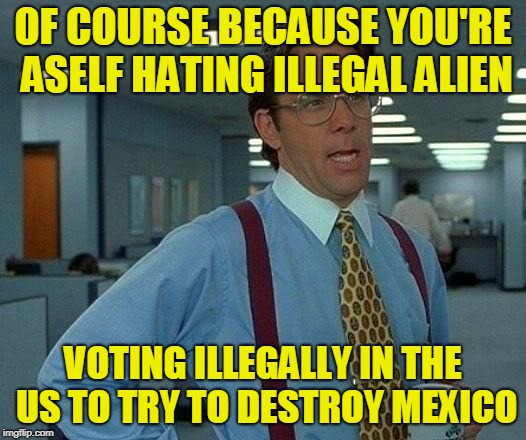 That Would Be Great Meme | OF COURSE BECAUSE YOU'RE ASELF HATING ILLEGAL ALIEN VOTING ILLEGALLY IN THE US TO TRY TO DESTROY MEXICO | image tagged in memes,that would be great | made w/ Imgflip meme maker