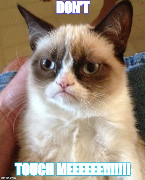 Grumpy Cat | DON'T; TOUCH MEEEEEE!!!!!!! | image tagged in memes,grumpy cat | made w/ Imgflip meme maker