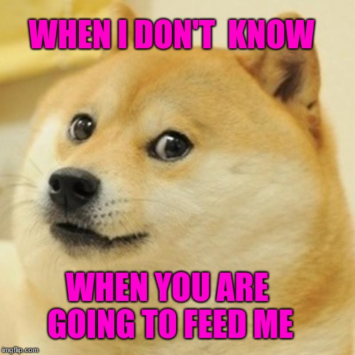 Doge Meme | WHEN I DON'T  KNOW; WHEN YOU ARE GOING TO FEED ME | image tagged in memes,doge | made w/ Imgflip meme maker