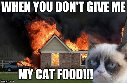 Burn Kitty | WHEN YOU DON'T GIVE ME; MY CAT FOOD!!! | image tagged in memes,burn kitty,grumpy cat | made w/ Imgflip meme maker
