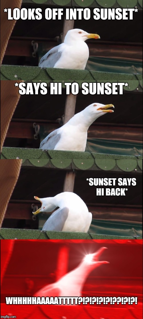 Inhaling Seagull Meme | *LOOKS OFF INTO SUNSET*; *SAYS HI TO SUNSET*; *SUNSET SAYS HI BACK*; WHHHHHAAAAATTTTT?!?!?!?!?!??!?!?! | image tagged in memes,inhaling seagull | made w/ Imgflip meme maker