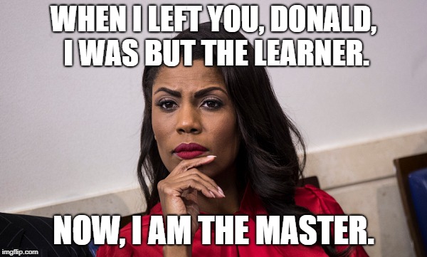 OMAROSA Love her or hate her | WHEN I LEFT YOU, DONALD, I WAS BUT THE LEARNER. NOW, I AM THE MASTER. | image tagged in omarosa,trump,america,usa,politics,now i am the master | made w/ Imgflip meme maker