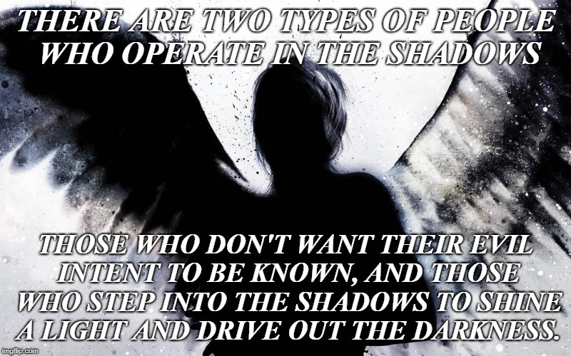 Driving Out the Darkness | THERE ARE TWO TYPES OF PEOPLE WHO OPERATE IN THE SHADOWS; THOSE WHO DON'T WANT THEIR EVIL INTENT TO BE KNOWN, AND THOSE WHO STEP INTO THE SHADOWS TO SHINE A LIGHT AND DRIVE OUT THE DARKNESS. | image tagged in darkness,evil,light,good and evil | made w/ Imgflip meme maker