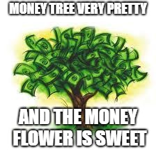 the money tree song | MONEY TREE VERY PRETTY; AND THE MONEY FLOWER IS SWEET | image tagged in money tree,funny,song | made w/ Imgflip meme maker