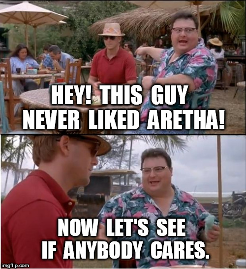 This guy never liked aretha | HEY!  THIS  GUY  NEVER  LIKED  ARETHA! NOW  LET'S  SEE  IF  ANYBODY  CARES. | image tagged in memes,see nobody cares,aretha,aretha franklin | made w/ Imgflip meme maker