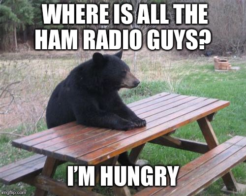 Bad Luck Bear | WHERE IS ALL THE HAM RADIO GUYS? I’M HUNGRY | image tagged in memes,bad luck bear | made w/ Imgflip meme maker