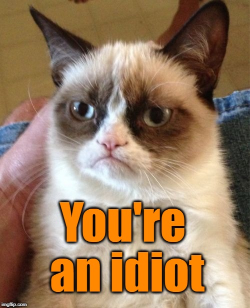 Grumpy Cat Meme | You're an idiot | image tagged in memes,grumpy cat | made w/ Imgflip meme maker