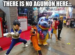 JUST. GABUMON. and i love it! | THERE IS NO AGUMON HERE... | image tagged in anime all stars | made w/ Imgflip meme maker