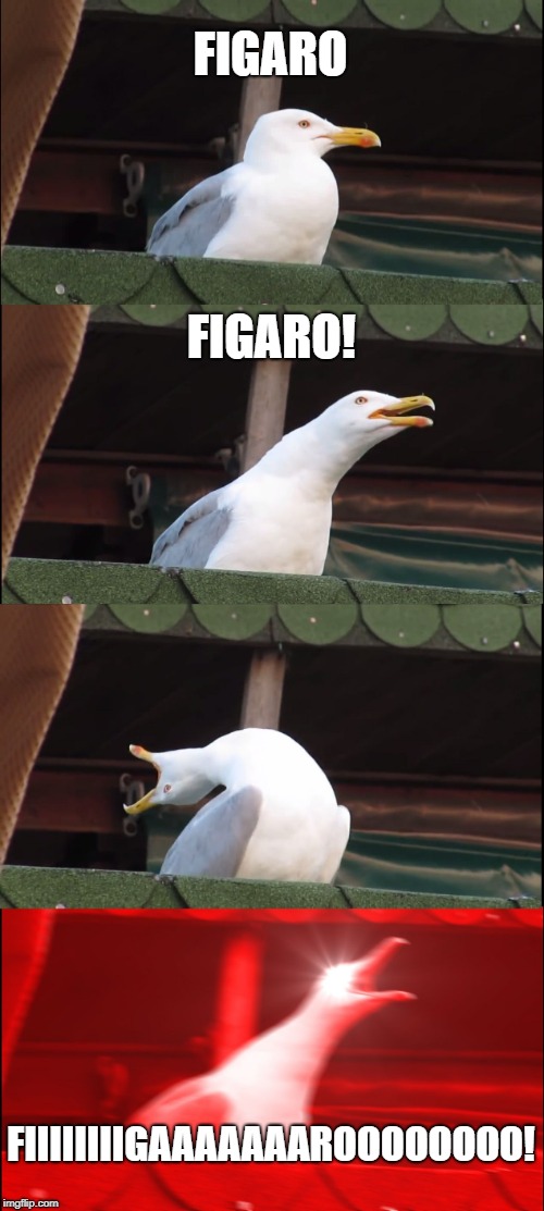 Inhaling Seagull Meme | FIGARO; FIGARO! FIIIIIIIIGAAAAAAAROOOOOOOO! | image tagged in memes,inhaling seagull | made w/ Imgflip meme maker