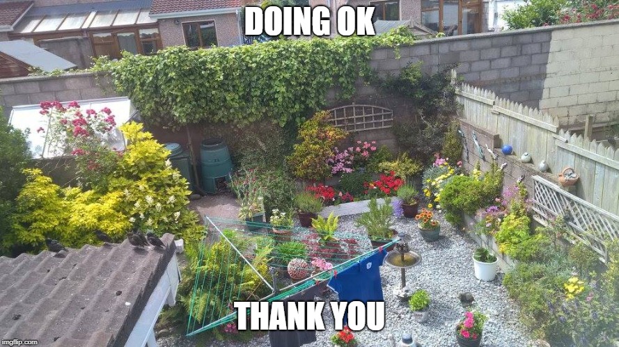 DOING OK; THANK YOU | made w/ Imgflip meme maker