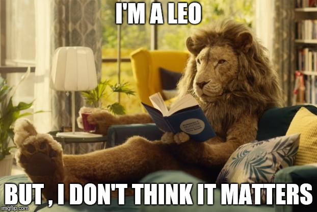 Lion relaxing | I'M A LEO BUT , I DON'T THINK IT MATTERS | image tagged in lion relaxing | made w/ Imgflip meme maker