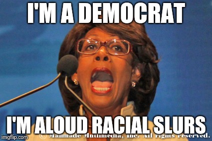 Maxine waters | I'M A DEMOCRAT I'M ALOUD RACIAL SLURS | image tagged in maxine waters | made w/ Imgflip meme maker