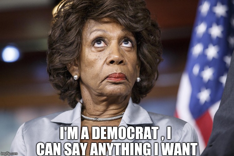 Maxine Water Korea | I'M A DEMOCRAT , I CAN SAY ANYTHING I WANT | image tagged in maxine water korea | made w/ Imgflip meme maker