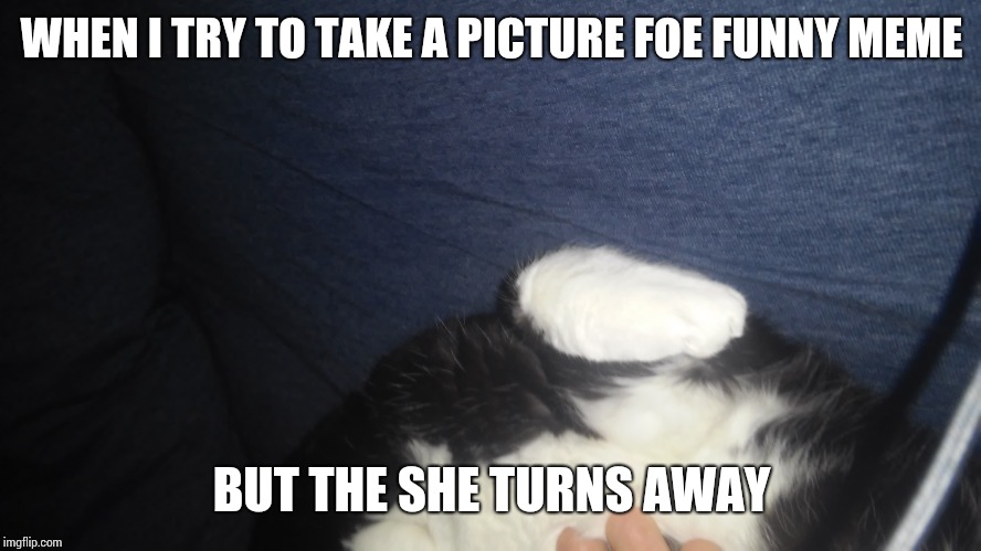 Sorry for no memes | WHEN I TRY TO TAKE A PICTURE FOE FUNNY MEME; BUT THE SHE TURNS AWAY | image tagged in annoying | made w/ Imgflip meme maker