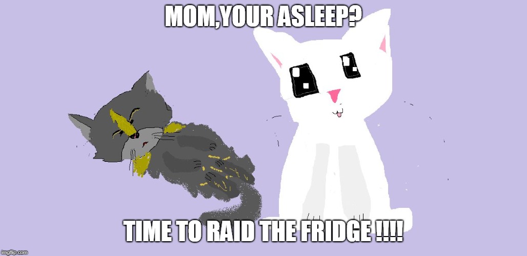 mi cats | MOM,YOUR ASLEEP? TIME TO RAID THE FRIDGE !!!! | image tagged in mi cats | made w/ Imgflip meme maker