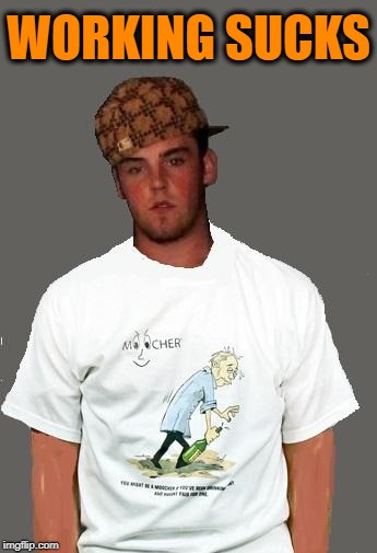 warmer season Scumbag Steve | WORKING SUCKS | image tagged in warmer season scumbag steve | made w/ Imgflip meme maker
