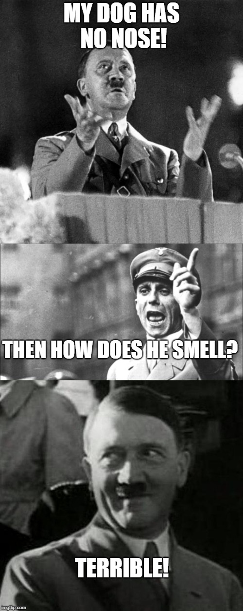 With apologies to Monty Python! | MY DOG HAS NO NOSE! THEN HOW DOES HE SMELL? TERRIBLE! | image tagged in hitler,joke,goebbels | made w/ Imgflip meme maker