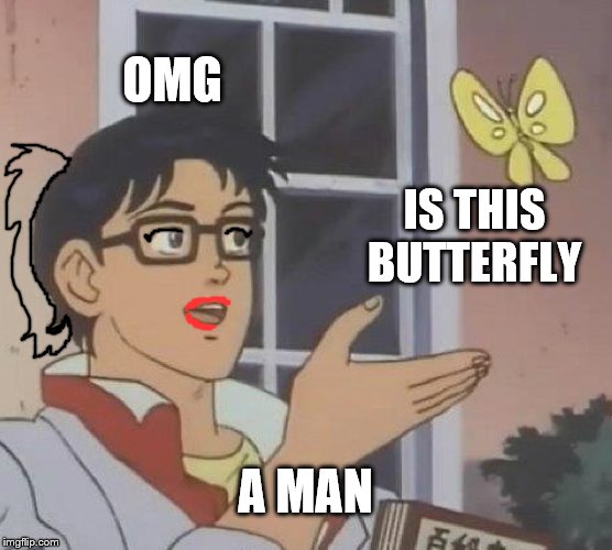 a stupid feminist   | OMG; IS THIS BUTTERFLY; A MAN | image tagged in memes,is this a pigeon | made w/ Imgflip meme maker