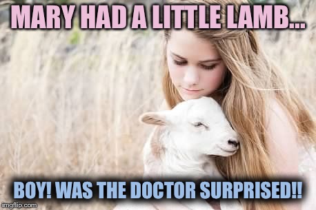 Mary had a little lamb.. most women birth humans! | MARY HAD A LITTLE LAMB... BOY! WAS THE DOCTOR SURPRISED!! | image tagged in nursery rhymes | made w/ Imgflip meme maker