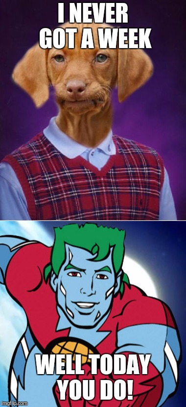 Introducing Raydog Week, a Hypnosis and Raydog event! | I NEVER GOT A WEEK; WELL TODAY YOU DO! | image tagged in raydog week,raydog,captain planet,bad luck raydog | made w/ Imgflip meme maker