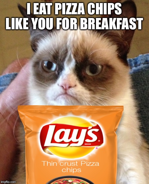 You eat pizza chips for breakfast? | I EAT PIZZA CHIPS LIKE YOU FOR BREAKFAST | image tagged in grumpy cat,lays,pizza cat | made w/ Imgflip meme maker
