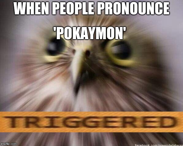 just why?! | WHEN PEOPLE PRONOUNCE; 'POKAYMON' | image tagged in triggred | made w/ Imgflip meme maker