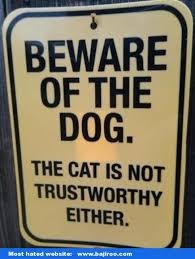 image tagged in dogs | made w/ Imgflip meme maker