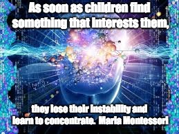 brain meme | As soon as children find something that interests them, they lose their instability and learn to concentrate.  Maria Montessori | image tagged in brain meme | made w/ Imgflip meme maker