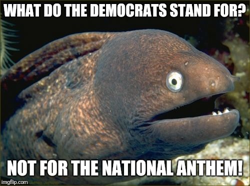 Bad Joke Eel Meme | WHAT DO THE DEMOCRATS STAND FOR? NOT FOR THE NATIONAL ANTHEM! | image tagged in memes,bad joke eel | made w/ Imgflip meme maker