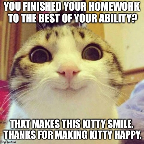Smiling Cat | YOU FINISHED YOUR HOMEWORK TO THE BEST OF YOUR ABILITY? THAT MAKES THIS KITTY SMILE. THANKS FOR MAKING KITTY HAPPY. | image tagged in memes,smiling cat | made w/ Imgflip meme maker