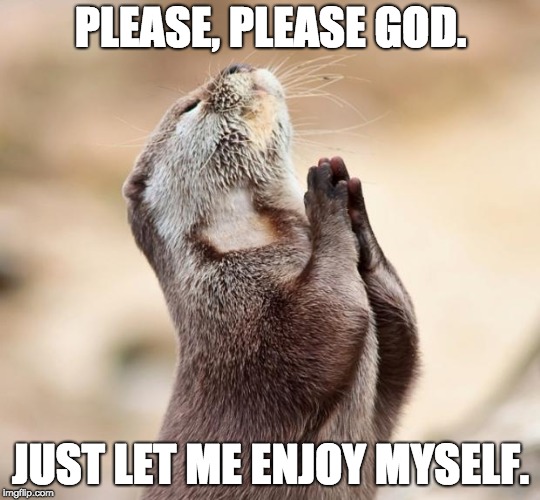 animal praying | PLEASE, PLEASE GOD. JUST LET ME ENJOY MYSELF. | image tagged in animal praying | made w/ Imgflip meme maker